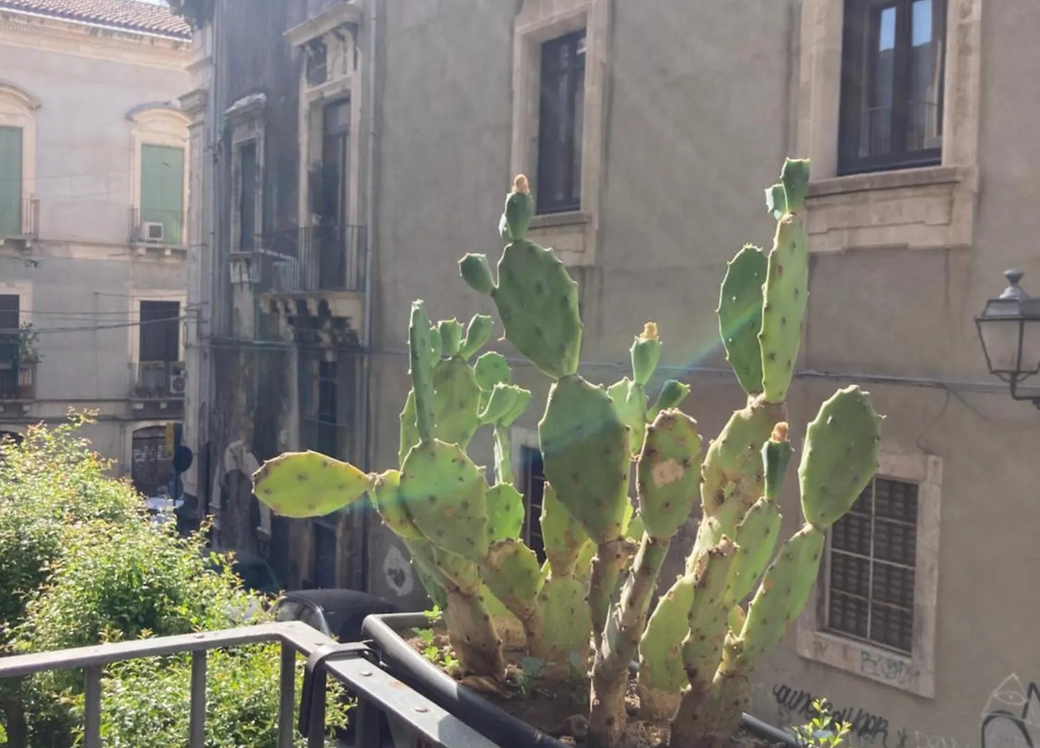 Aita Domus Apartment Catania